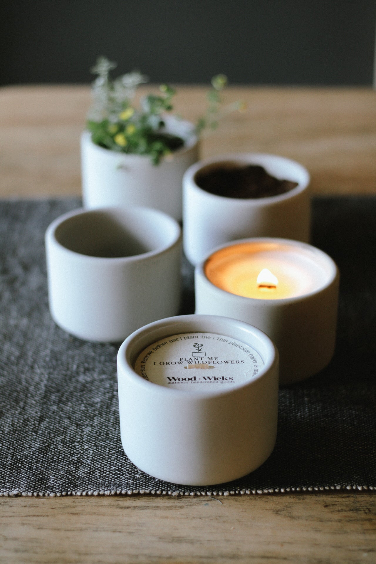 7.5oz. Coconut Wax Candle