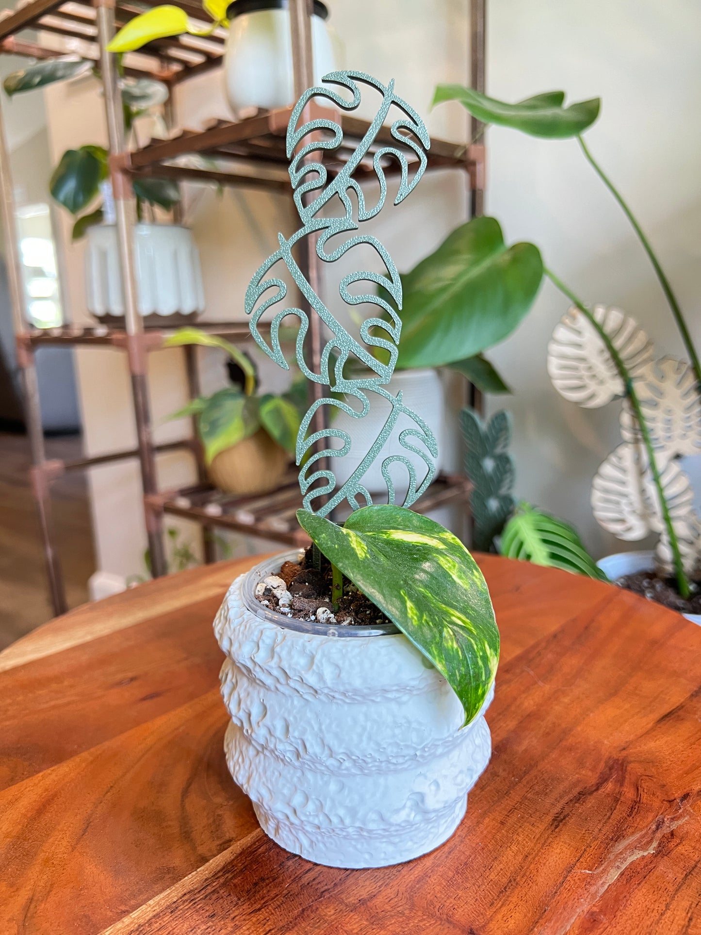 Mother's Day Gift Box